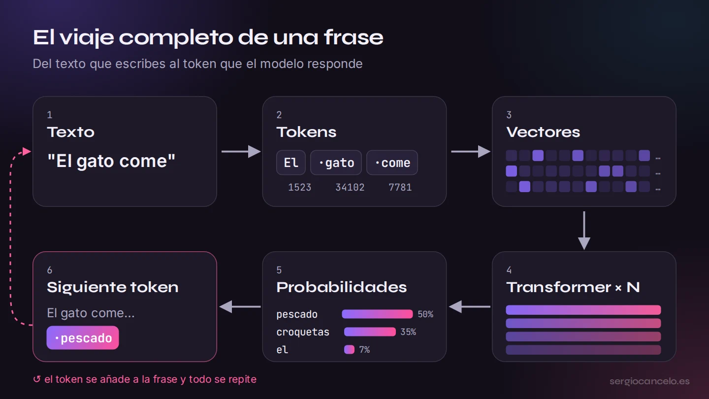 El viaje completo de una frase